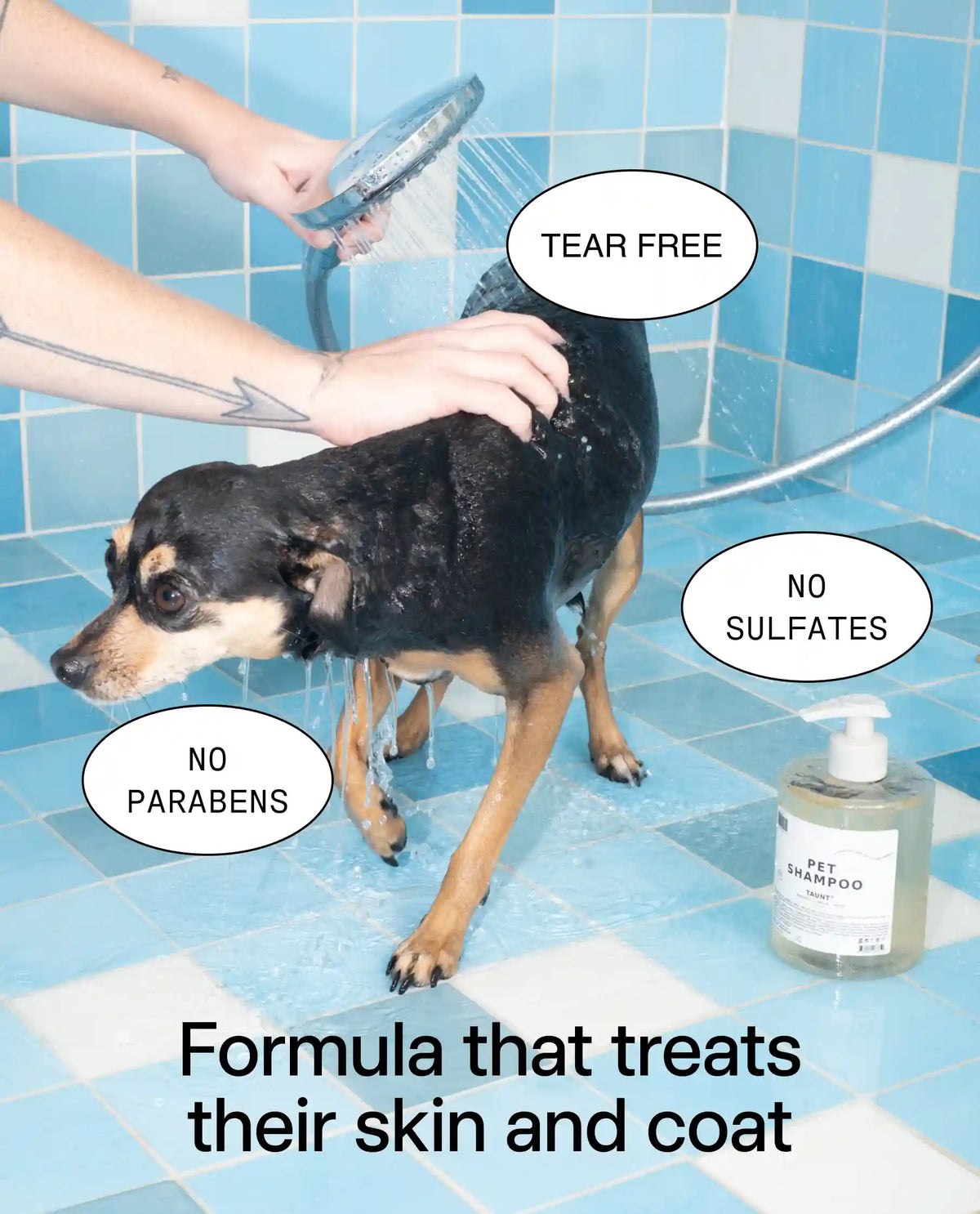 The Pet Bundle