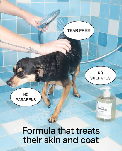 Pet Shampoo 01 "Taunt"