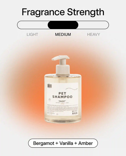 Pet Shampoo 01 "Taunt"